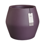 june split low 46cm vintage plum